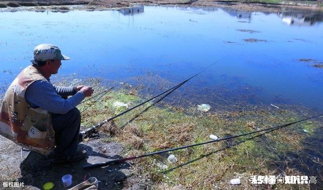 浑水池塘怎么钓鱼