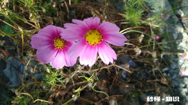 有缘人今生注定要错过吗