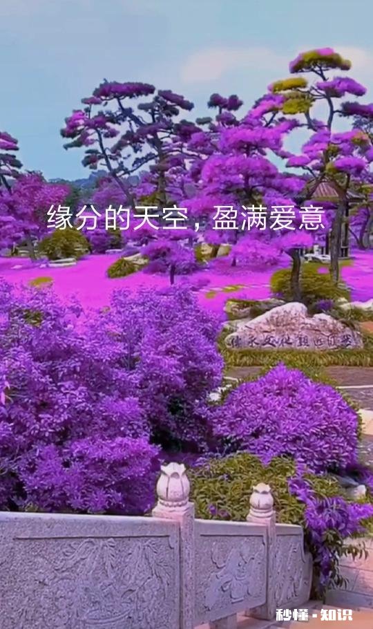 有缘人今生注定要错过吗