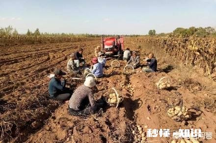 人生中，为什么为了一日三餐需要付出一些代价呢