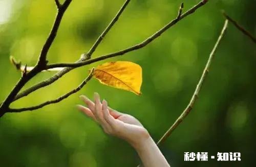 有的人沉迷饭局，是想广交朋友，打通关系，做好生意，对吗