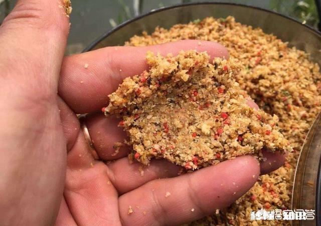 野钓为啥有的地方的鲫鱼吃蚯蚓不吃商品饵