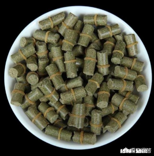 在小杂鱼闹钩非常严重的情况下，怎么做才能有效避开小杂鱼