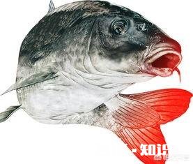 在小杂鱼闹钩非常严重的情况下，怎么做才能有效避开小杂鱼