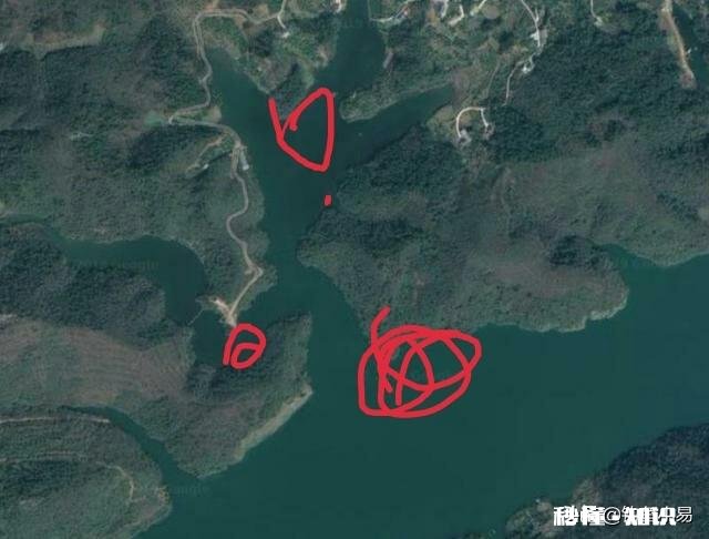 大神帮看下这个地方如何选钓位