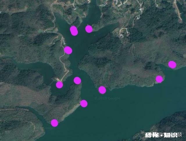 大神帮看下这个地方如何选钓位