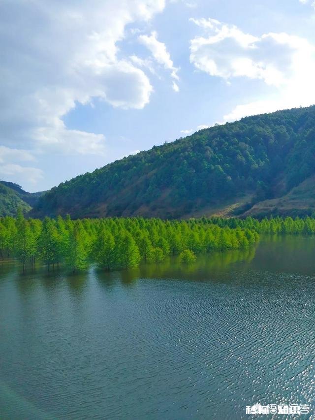 八月初去云南穿什么合适