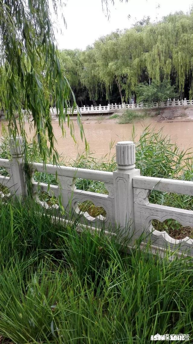 “孝敬父母天降福”，你是怎么认为的