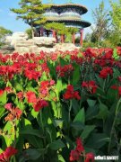 “孝敬父母天降福”，你是怎么认为的