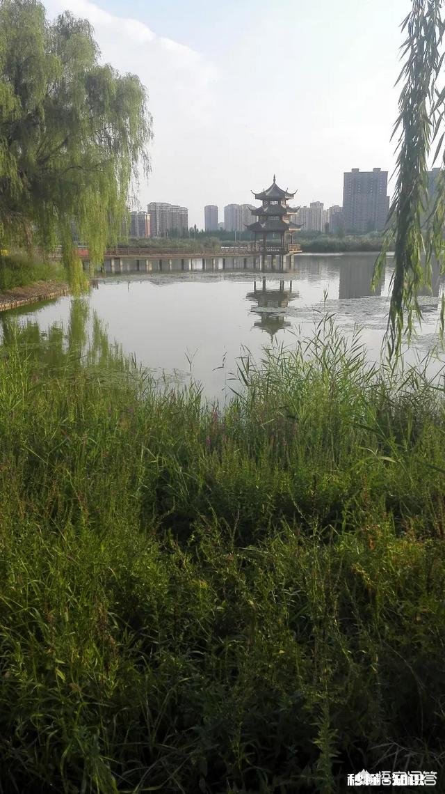 “孝敬父母天降福”，你是怎么认为的