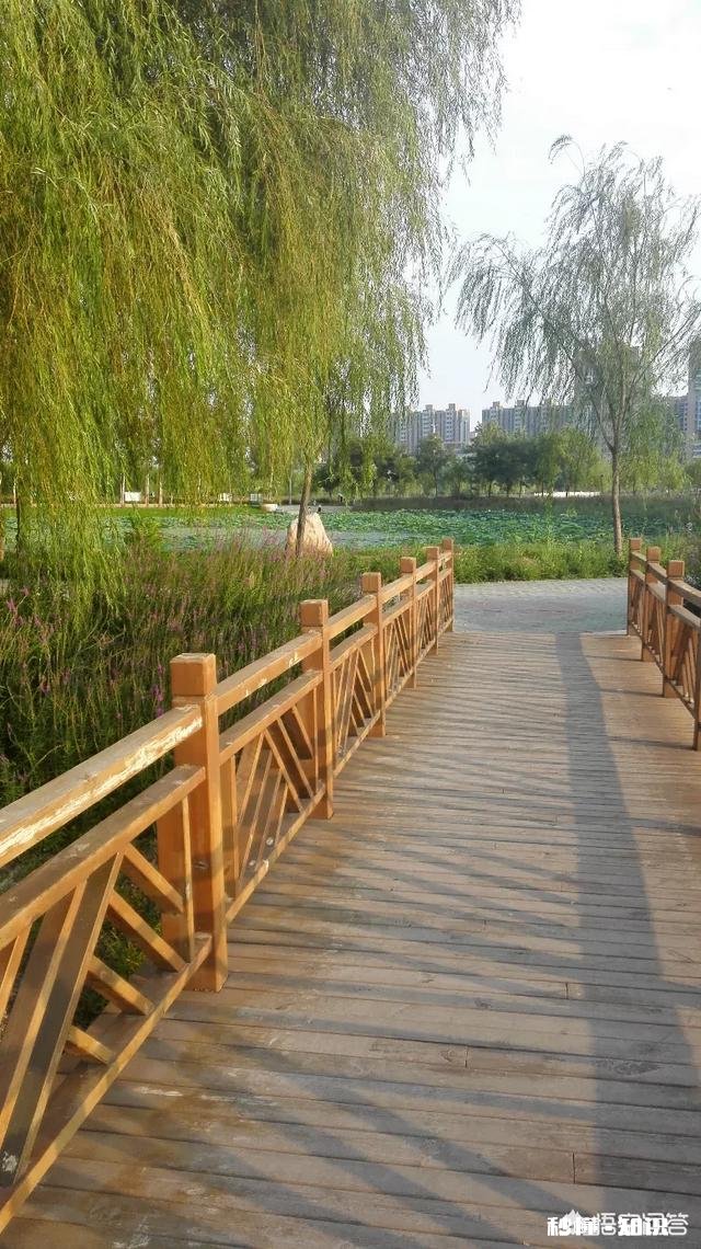 “孝敬父母天降福”，你是怎么认为的