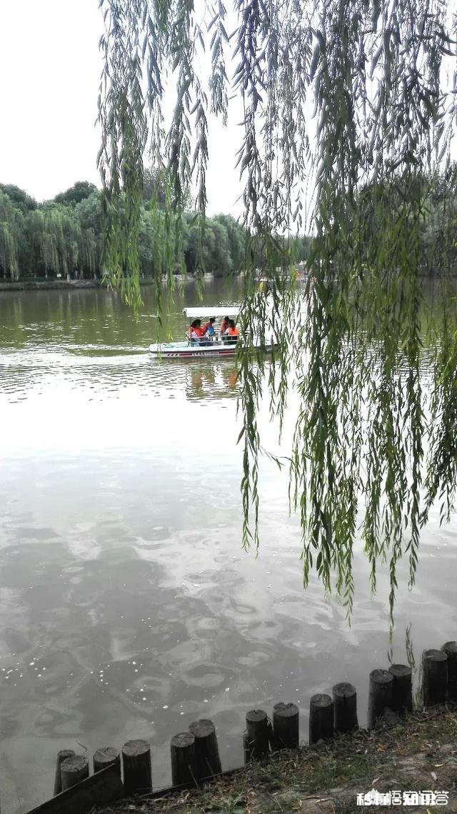 “孝敬父母天降福”，你是怎么认为的