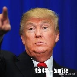 如果把高中英语降为选学科目，小学和初中英语怎样改革