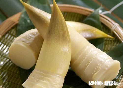 碱泡竹笋可以使竹笋变白吗