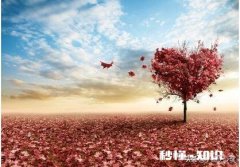 男朋友跟我说和普通朋友去私人影院看电影，但是跟兄弟说自己和前女友去的，我该相信他吗