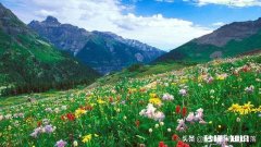 绩点达到3 和男朋友的约定他没有实现，该不该如约分手