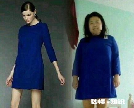 你见过哪些搞笑的淘宝评价