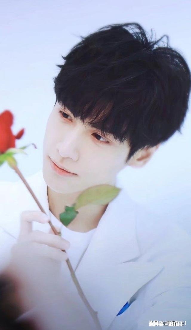 小鱼仙倌 我太爱罗云熙了怎么办