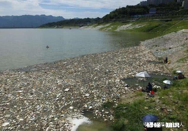 在水库钓鱼是否会造成污染