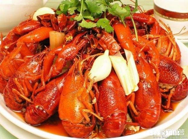 有哪些钓小龙虾的高招儿