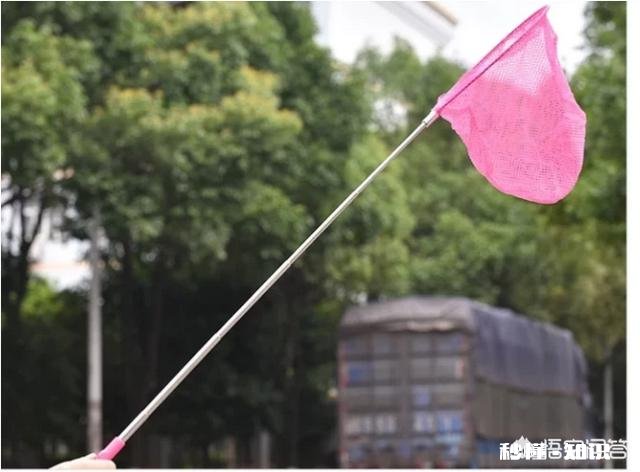 有哪些钓小龙虾的高招儿