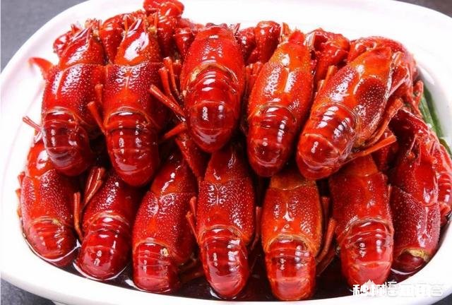 有哪些钓小龙虾的高招儿