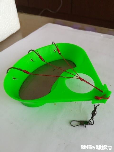 有没有钓友，指导一下怎么钓大鱼