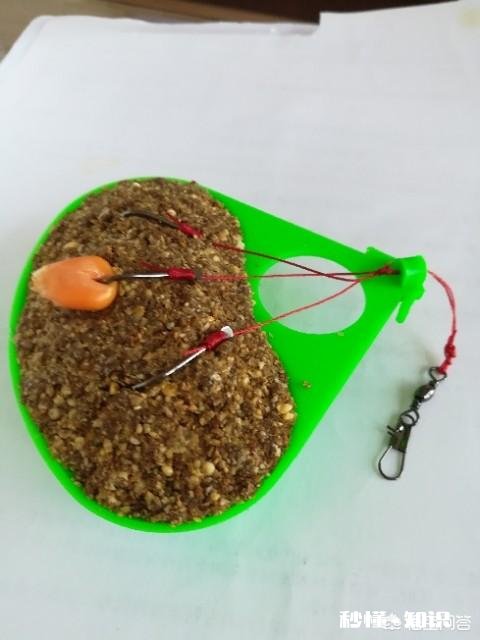 有没有钓友，指导一下怎么钓大鱼