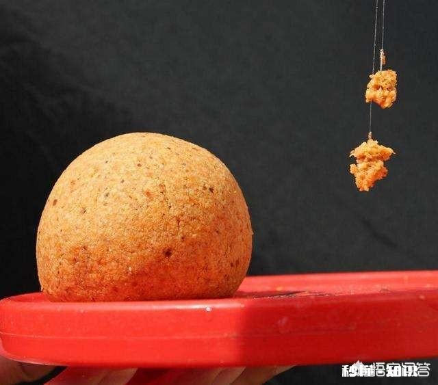 春季如何让鲫鱼“爱”上钩