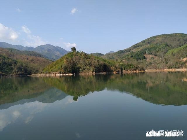 春季如何让鲫鱼“爱”上钩