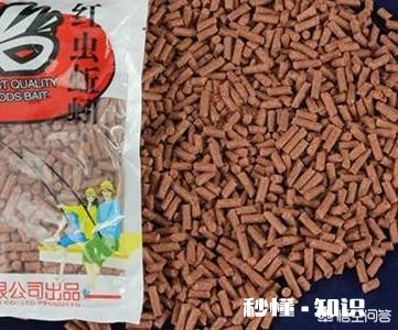 春季如何让鲫鱼“爱”上钩