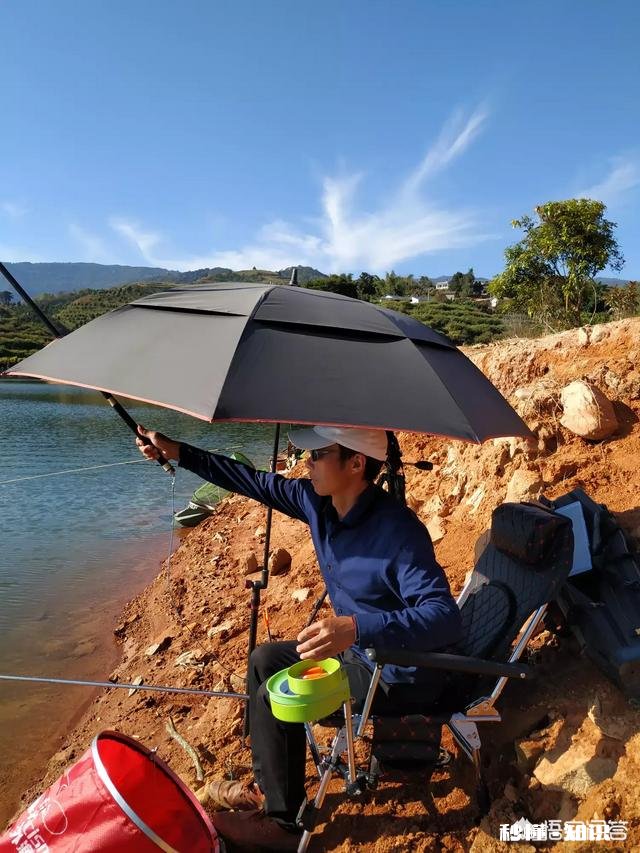 春季如何让鲫鱼“爱”上钩