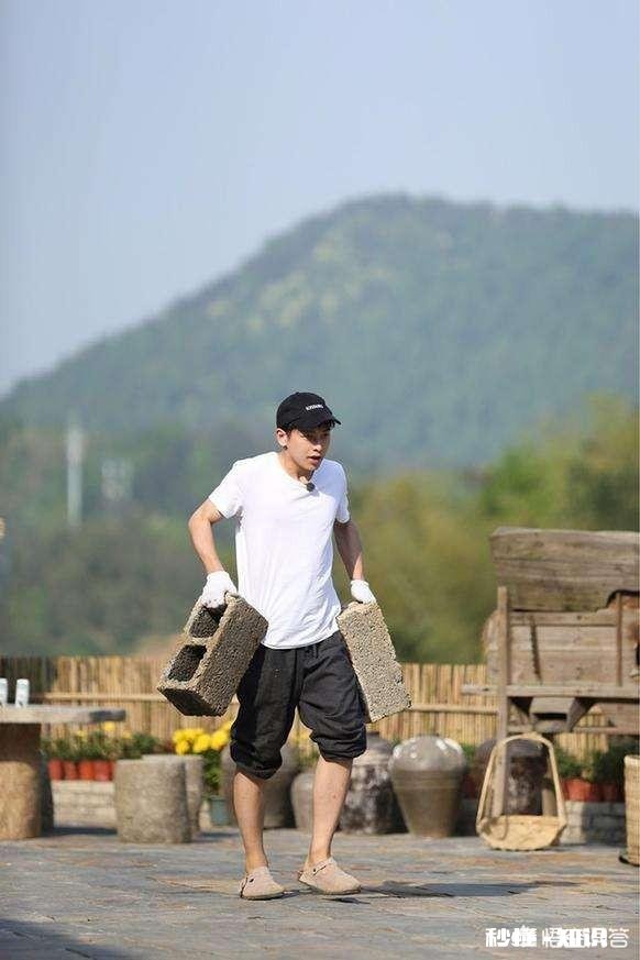 有哪些明星作为常驻嘉宾时，其综艺节目评价普遍不错