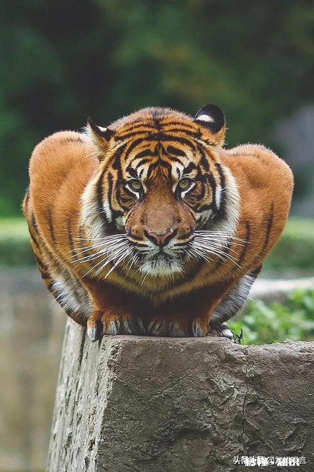 《仙剑奇侠传》如果真的要翻拍，你认为除了胡歌，还有谁能驾驭这个角色