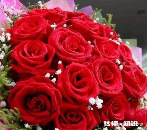 婆家有啥事情只跟老公商量，老公却不把事情告诉老婆，能接受吗