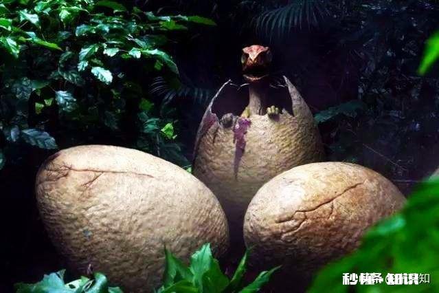 如果地球出现七千万只恐龙，我们将会遭受怎样的灾难