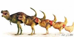 如果地球出现七千万只恐龙，我们将会遭受怎样的灾难