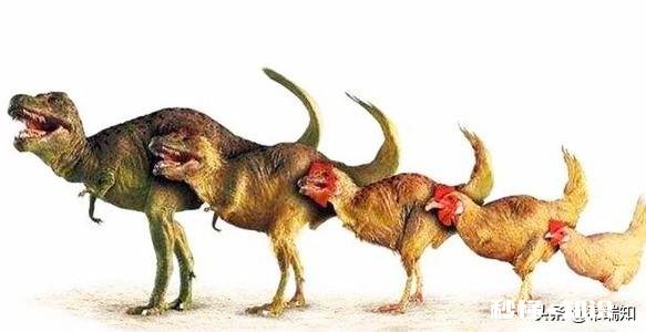 如果地球出现七千万只恐龙，我们将会遭受怎样的灾难