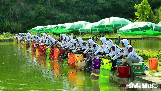 鱼线、鱼钩的大小如何选择搭配