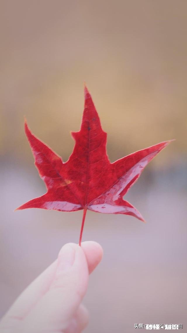 女性不能接受第三者，为什么有些女生还喜欢看宫斗戏，还有人幻想穿越当妃子