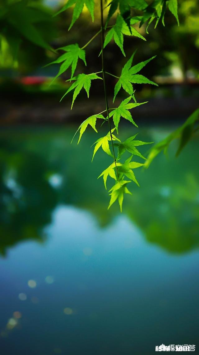 为什么男人喜欢苗条的女生