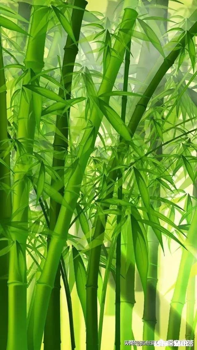 为什么男人喜欢苗条的女生