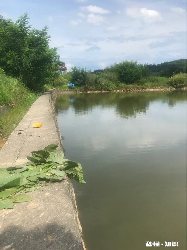 怎样能够认识一些钓鱼的朋友