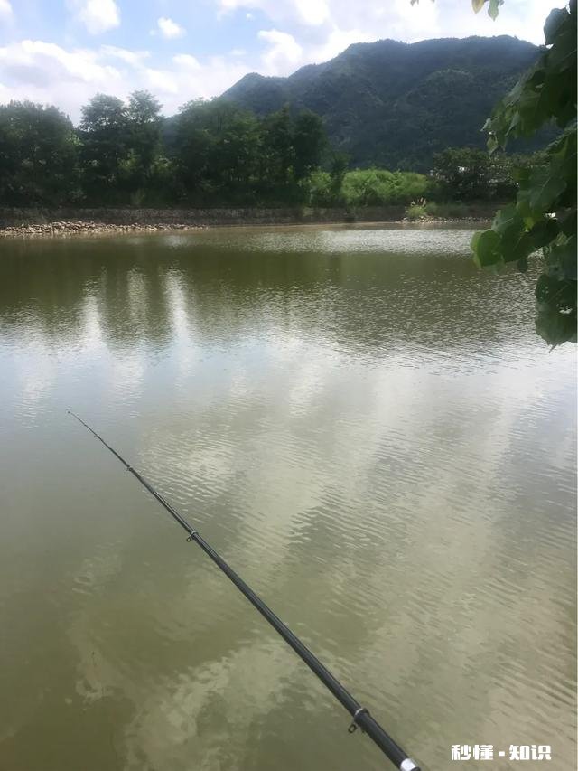 怎样能够认识一些钓鱼的朋友