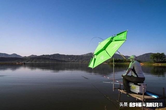 怎样能够认识一些钓鱼的朋友