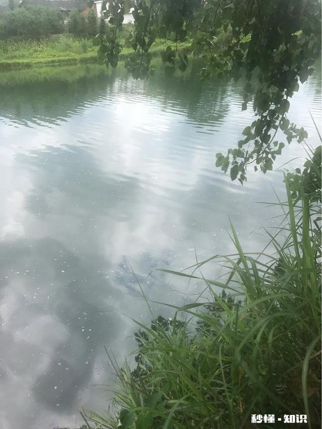 怎样能够认识一些钓鱼的朋友