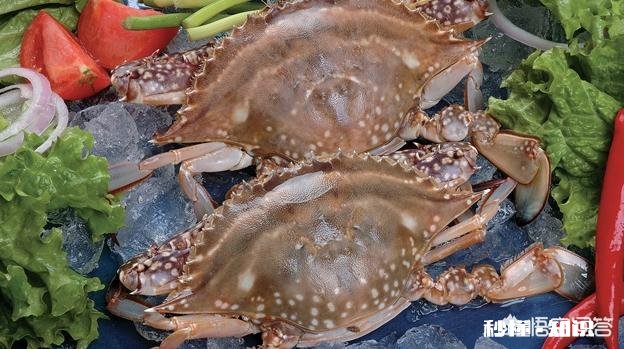 螃蟹又要上市了，你喜欢吃着螃蟹，喝着白酒吗