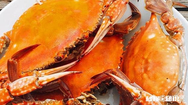 螃蟹又要上市了，你喜欢吃着螃蟹，喝着白酒吗