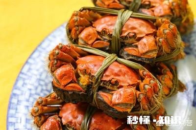 螃蟹又要上市了，你喜欢吃着螃蟹，喝着白酒吗