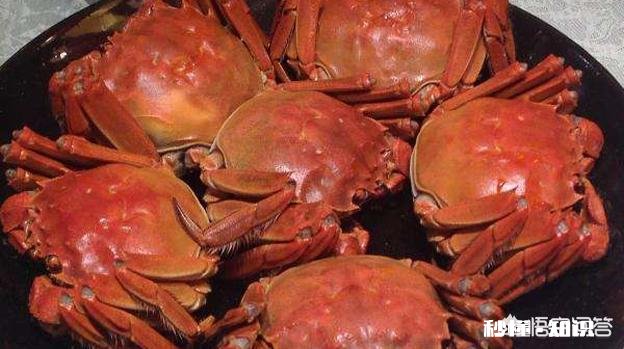 螃蟹又要上市了，你喜欢吃着螃蟹，喝着白酒吗